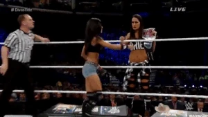 The evil Brie kissing AJ Lee @ Survivor Series 2014