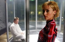 7bf1416707ca50cdfc6ccf022f3ad333--mia-sara-birds-of-prey.jpg (48 KB)