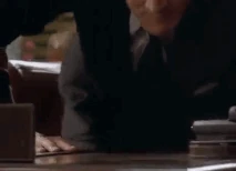 Rebbeca Reichert 5.gif (941 KB)