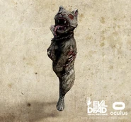 DqgnL6jX4AAlRW-.jpg (289 KB)