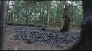 Linda's grave, just a few feet away from the cabin itself (Evil Dead II)