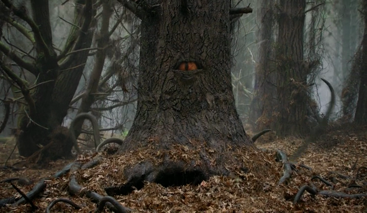 angry molesting tree