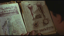 Every Necronomicon Book In The Evil Dead Franchise - Explored - How Many  Necronomicons Are There? 