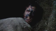 Evil Ash's severed head rolls out of the burlap sack and into the grave.