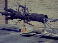 The Kandarian Demon's right hand.