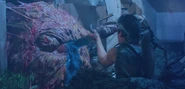 Ash stabs the Demon in it's crimson eye with his chainsaw.