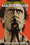 Army of Darkness: Ash Gets Hitched (2014) (4 Issues)