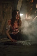 BloodyKelly-Cabin-AvEDS1E10.jpg (2.98 MB)