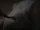 Bridget-Attacked2-Apartment-EvilDeadRise.jpg