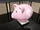 World's Largest Piggy Bank