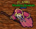Shadow Shaman