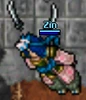 Zin