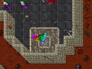 After using the checkpoint from temple to the discovered area