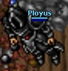 Ployus