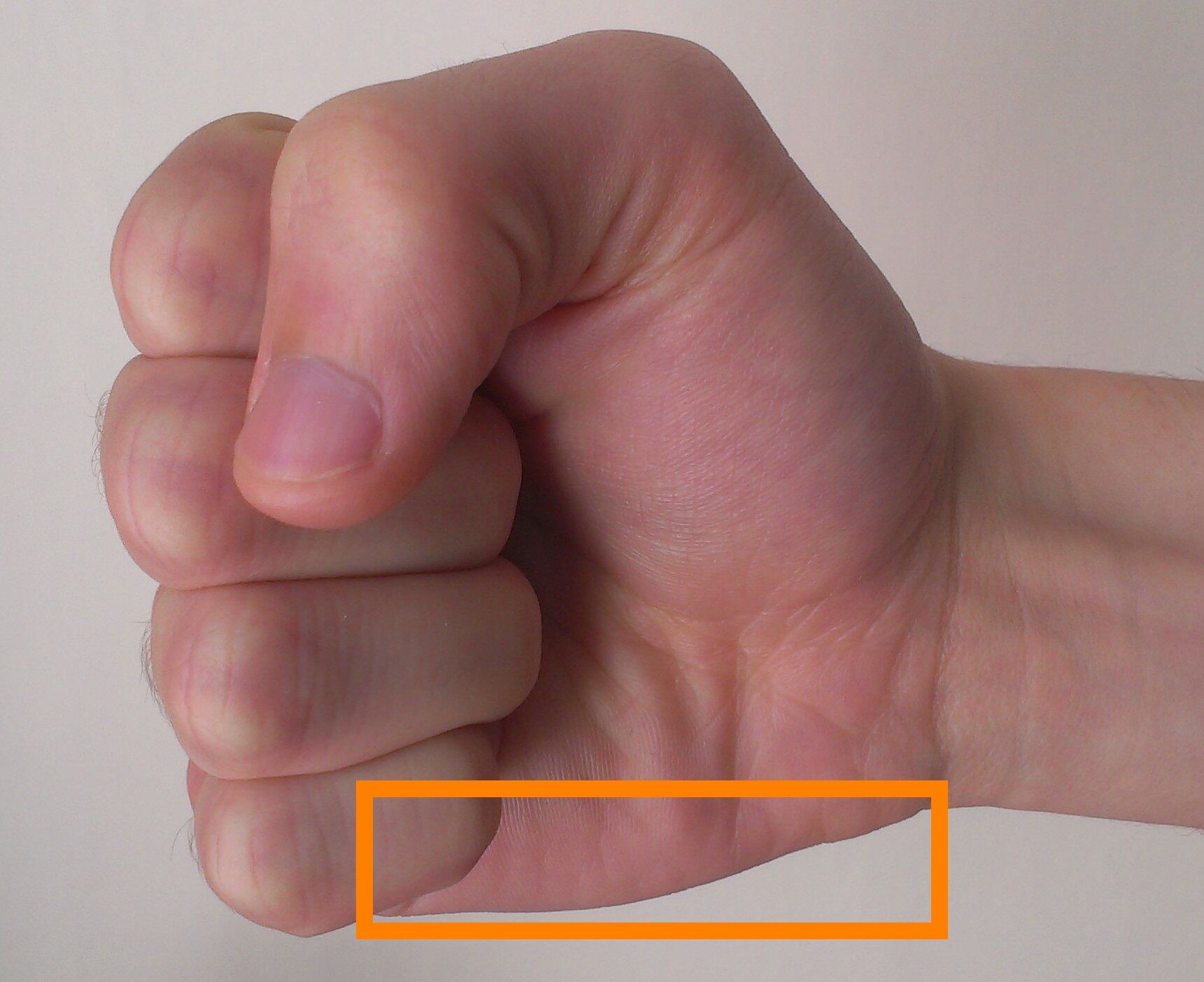Hammer Fist.jpg