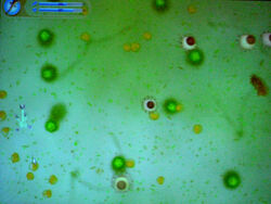 Spore7.jpg