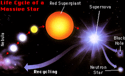 Supernova cycle.gif