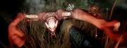 Reaver.png