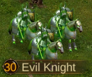 Lv30 Evil Knight