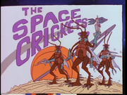 The.space.crickets