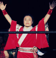 Lady Satomura