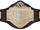 DXW Mixed Tag Team Championship