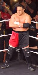 220px-Samoa Joe 2017