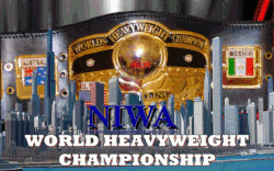 NIWA World Brass Knuckles Championship, The eWrestling Encyclopedia