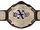 DXW World Heavyweight Championship