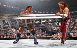 Chris-Jericho-Hitting-Shawn-With-Ladder-500x312
