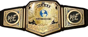 Image of Answers Wrestling Federation World Championship
