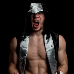 An image of the Phoenix Winterborn.