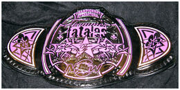 Image of PWW Women's Television Championship