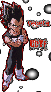 Vegeta: President of The UCTF (1999 - 2005)