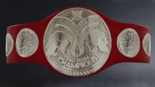 An image of the EMW World Tag Team Championship.