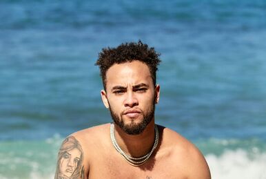 Watch ex on the top beach us season 1