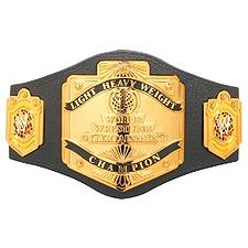 Cruiserweight Championship | Excel Wrestling Action! Wiki | Fandom