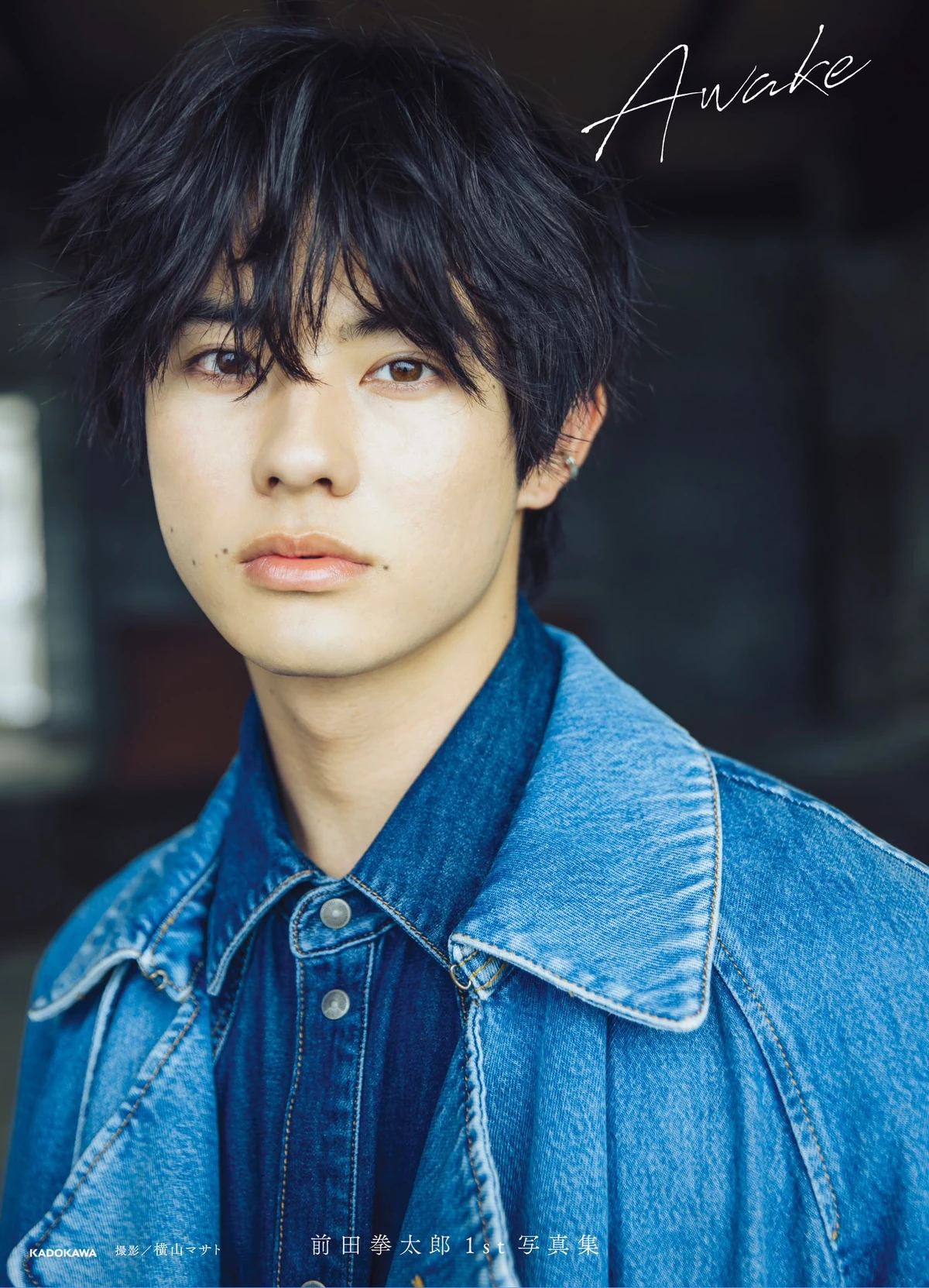 Koji Maeda様オーダー Maeda Koichi - Rural Japanese Village Scenes - Artelino