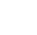 LEI logo (white)
