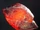 Ringwoodite