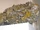 Wulfenite