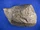 Pentlandite