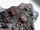 Fayalite