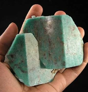 Cherium Mythbusteride