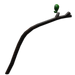 Poplar longbow(u)