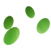 Enchanthorn seeds