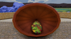 Cornucopia30