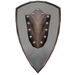Titanium shield