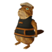Carvin marvin