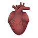 Giant's heart